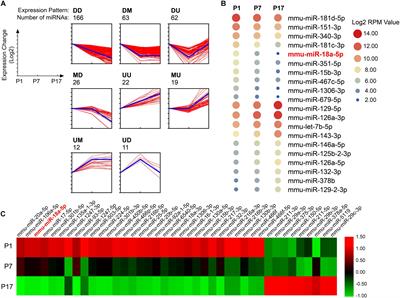 MicroRNA-18a-5p Administration Suppresses Retinal Neovascularization by Targeting FGF1 and HIF1A